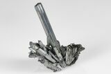 Lustrous, Metallic Stibnite Crystal Spray - China #175838-1